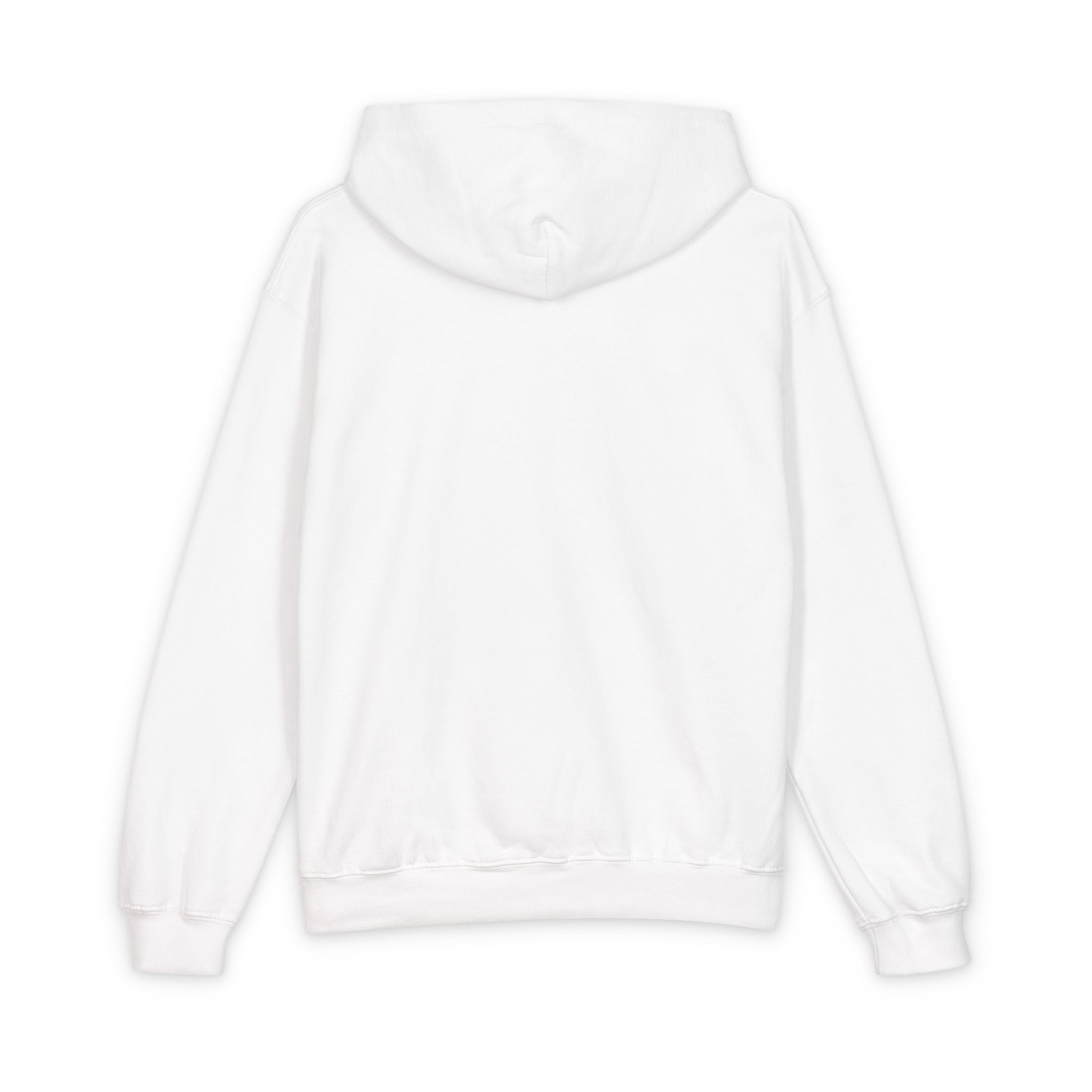 Softstyle Youth Midweight Hooded Sweatshirt by Printify